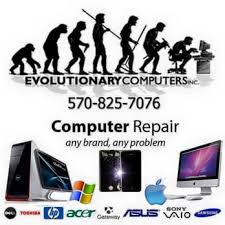 evolutionary computers